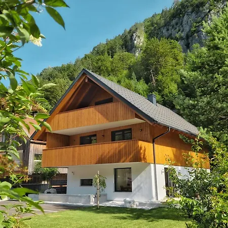 Hisa Oblak 戈德马图杰克